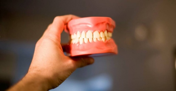Numbering of teeth in dentistry